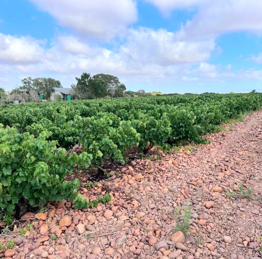Commercial Property for Sale in Malgas Western Cape
